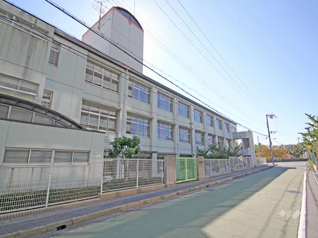 西郷小学校の写真