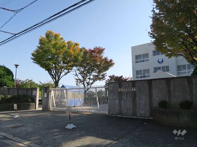 白川小学校の写真