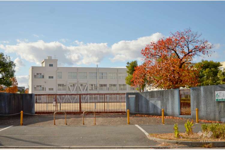 富田小学校の写真