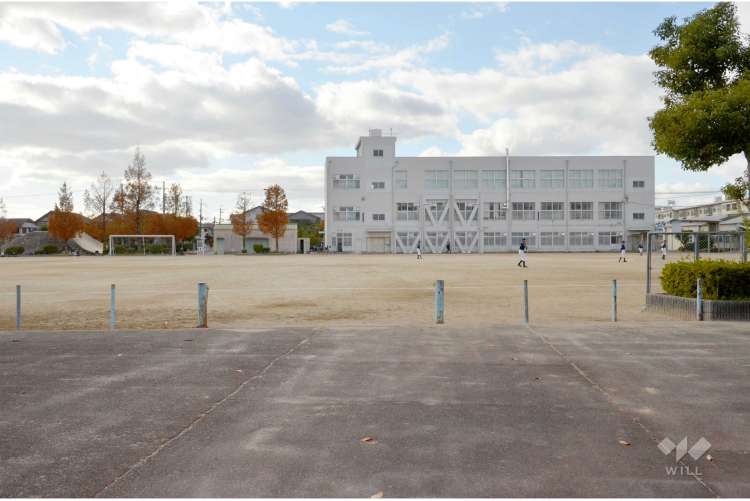 富田小学校の写真