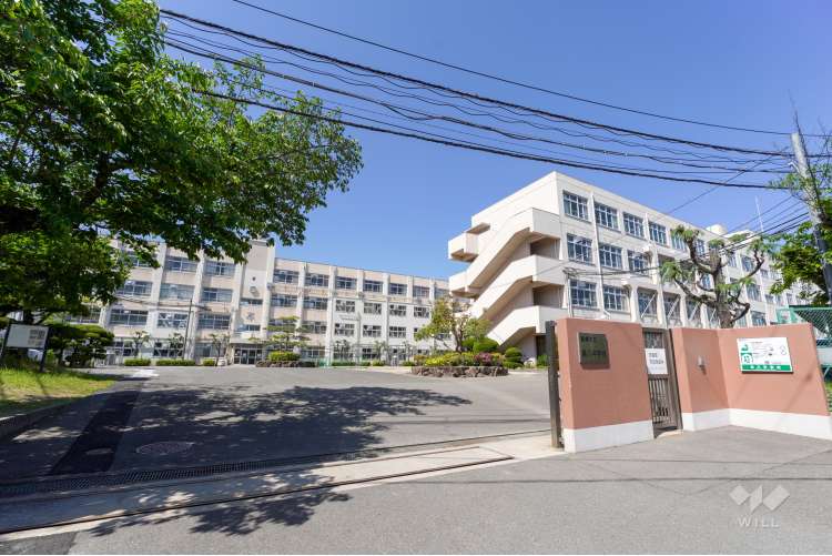 第八中学校の写真