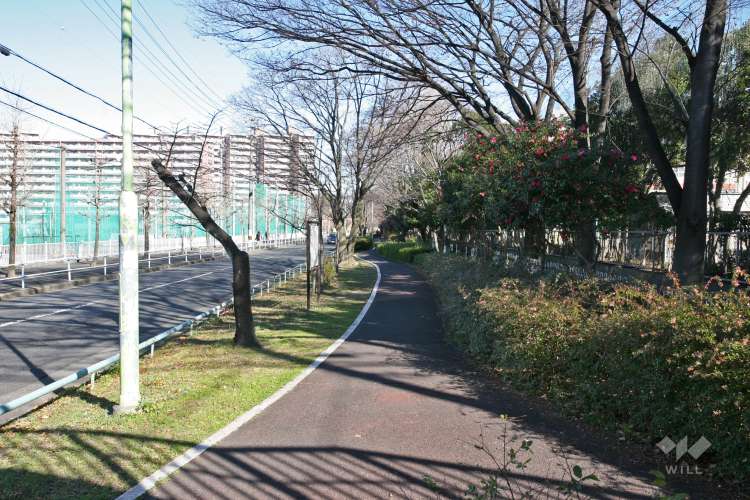 砂田橋小学校の写真