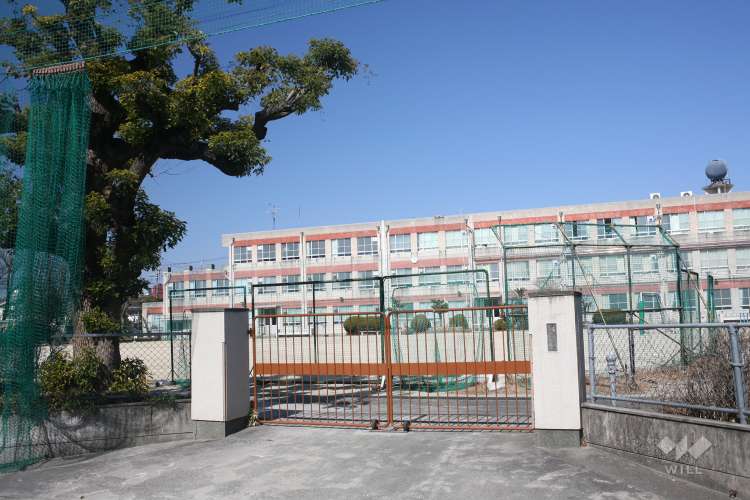 白金小学校の写真