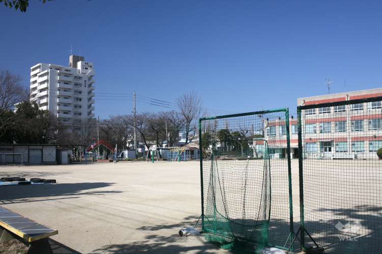 白金小学校の写真