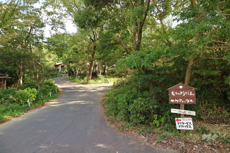 自然幼稚園(もりのようちえん)の写真