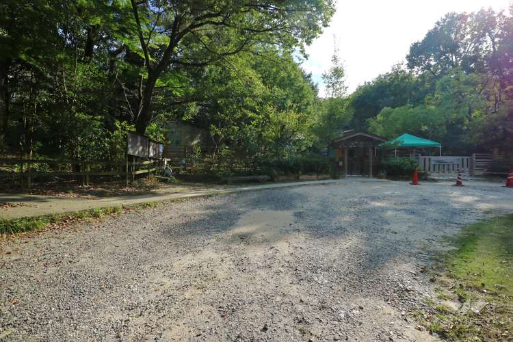 自然幼稚園(もりのようちえん)の写真