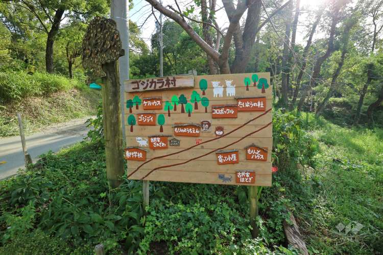 自然幼稚園(もりのようちえん)の写真