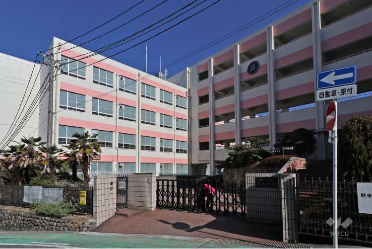 陽明小学校の写真