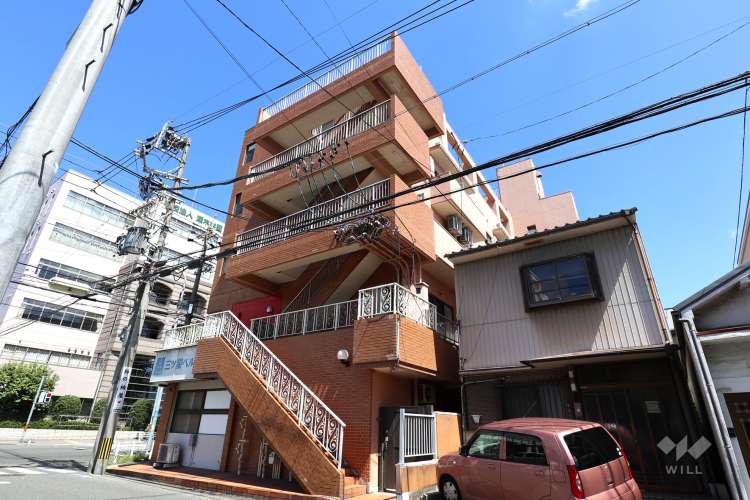 Peace Baby Station瑞穂の写真