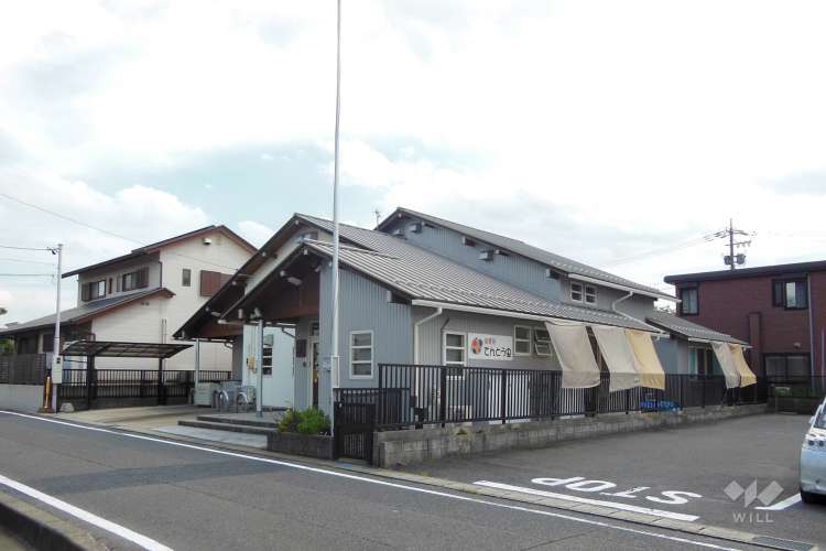 保育所てんとう虫の写真