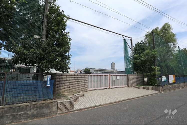 光城小学校の写真