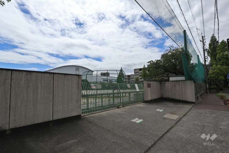 辻小学校の写真