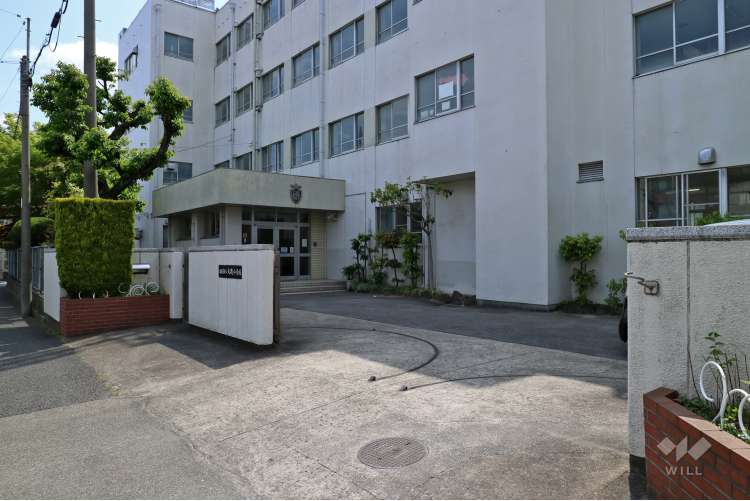 大磯小学校の写真