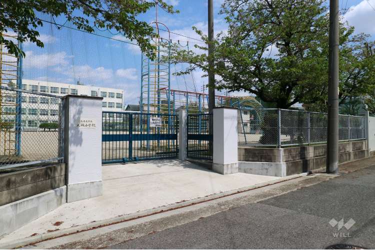 大磯小学校の写真