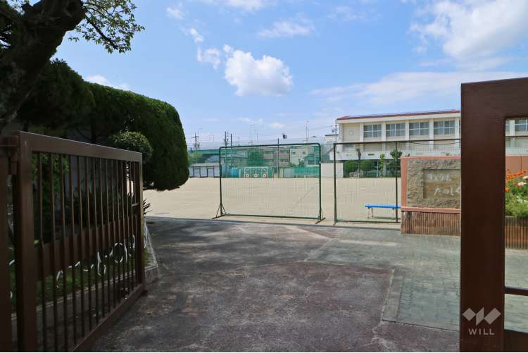 大磯小学校の写真