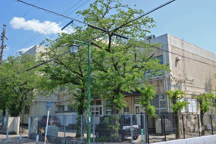 笠東小学校の写真