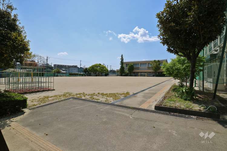 笠東小学校の写真