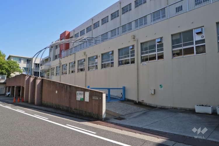 菊住小学校の写真