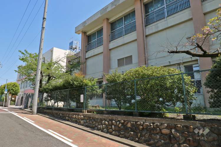 桜小学校の写真