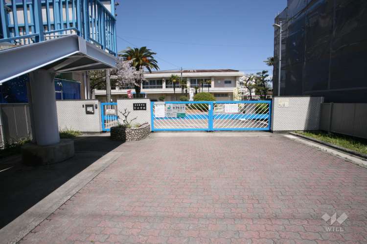 宝小学校の写真