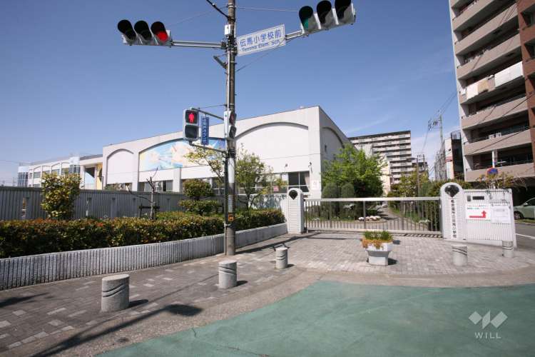 伝馬小学校の写真