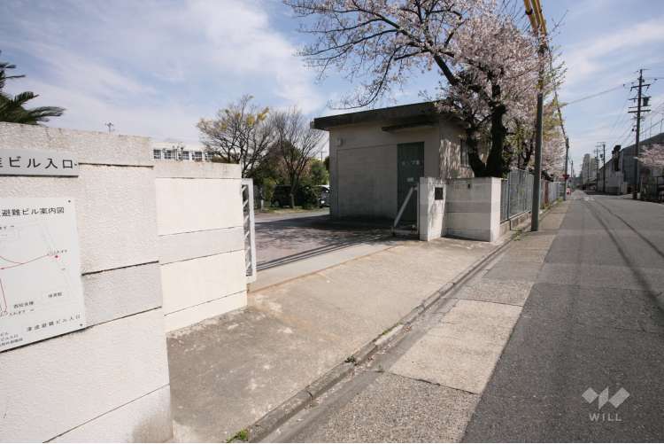 白水小学校の写真