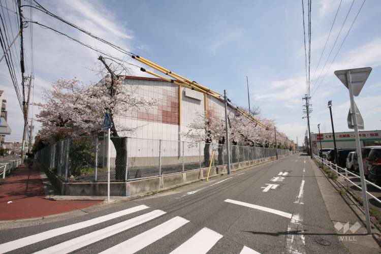 白水小学校の写真