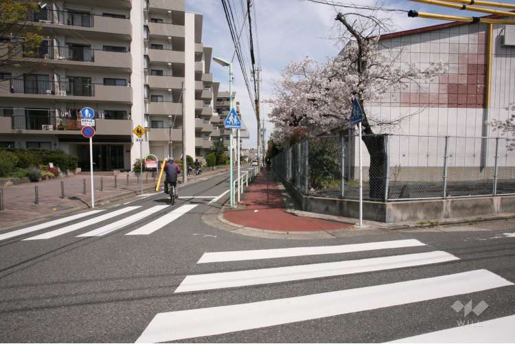 白水小学校の写真