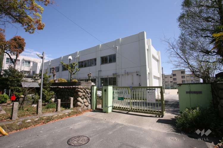 豊田小学校の写真