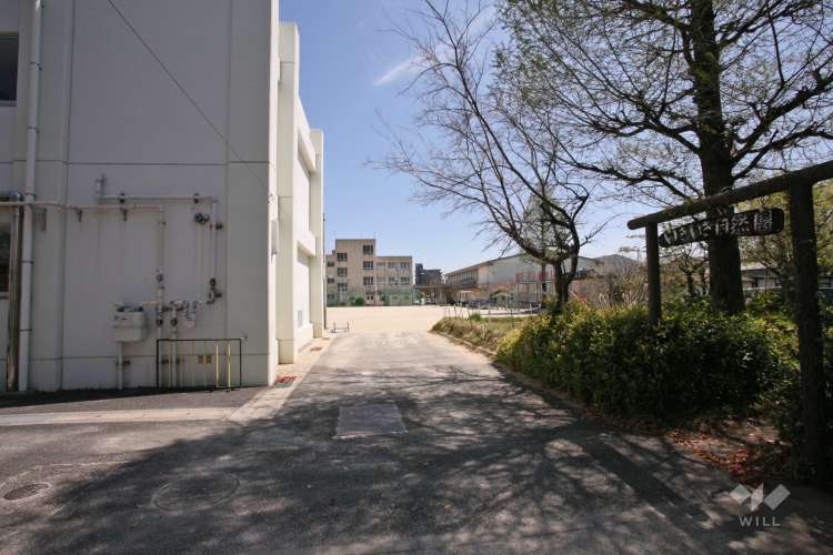 豊田小学校の写真