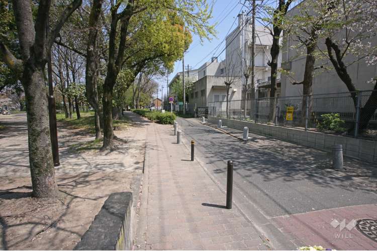 大江中学校の写真