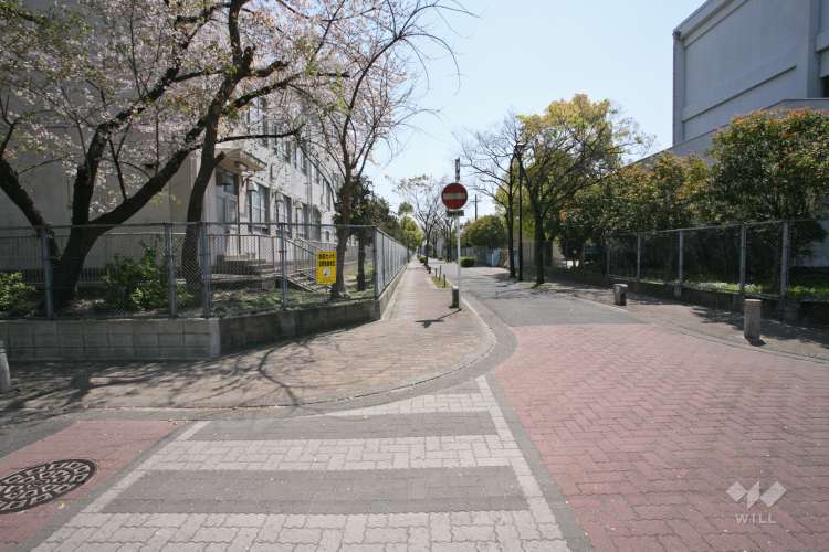 大江中学校の写真