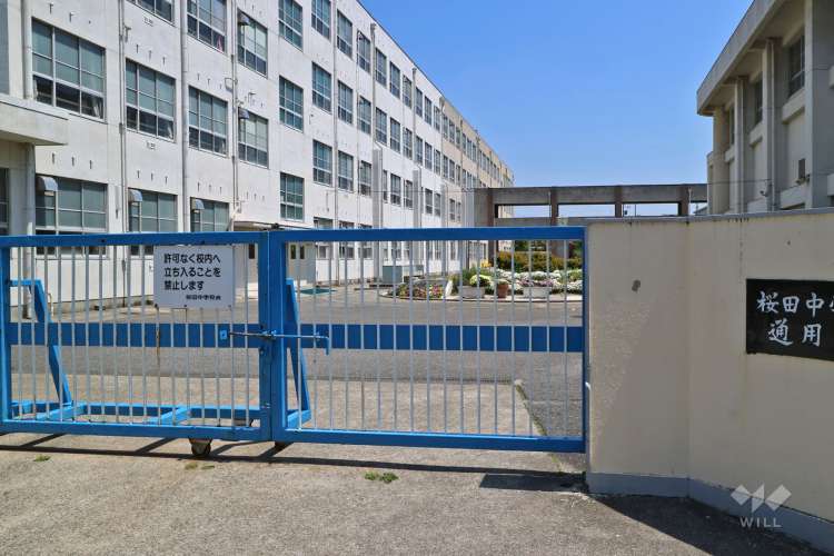 桜田中学校の写真