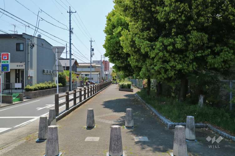 桜田中学校の写真