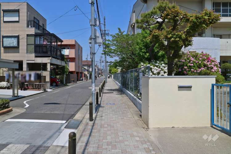 桜田中学校の写真