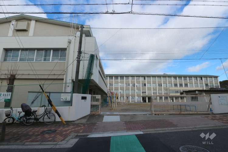 白鳥小学校の写真