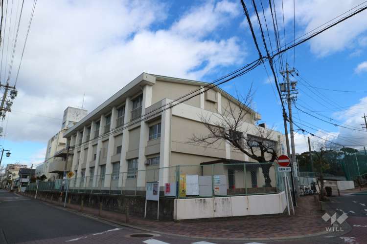 白鳥小学校の写真