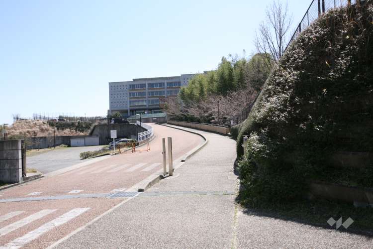 梨の木小学校の写真