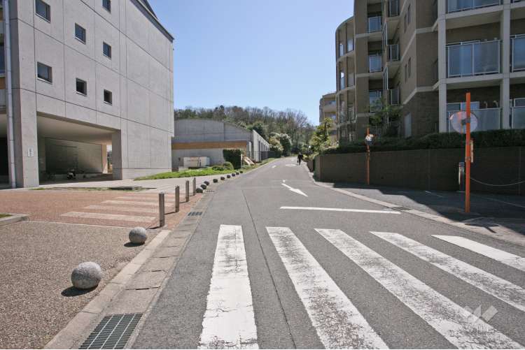 梨の木小学校の写真