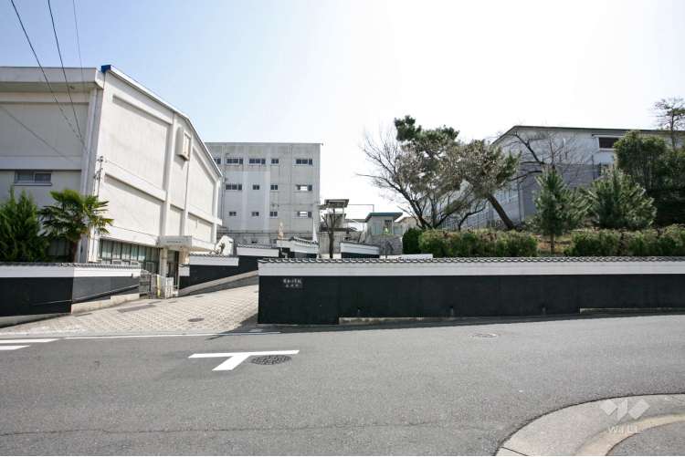 有松小学校の写真