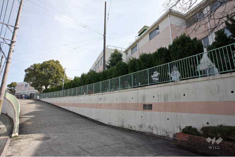 長根台小学校の写真