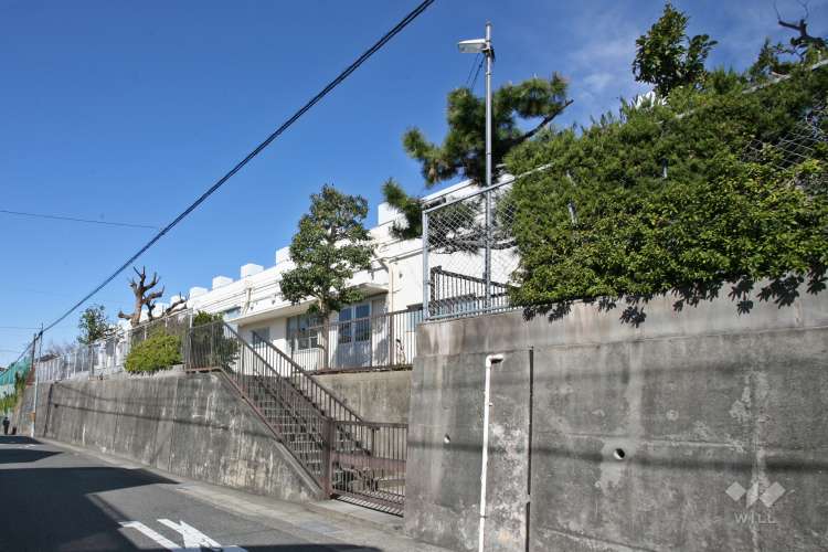 黒石小学校の写真