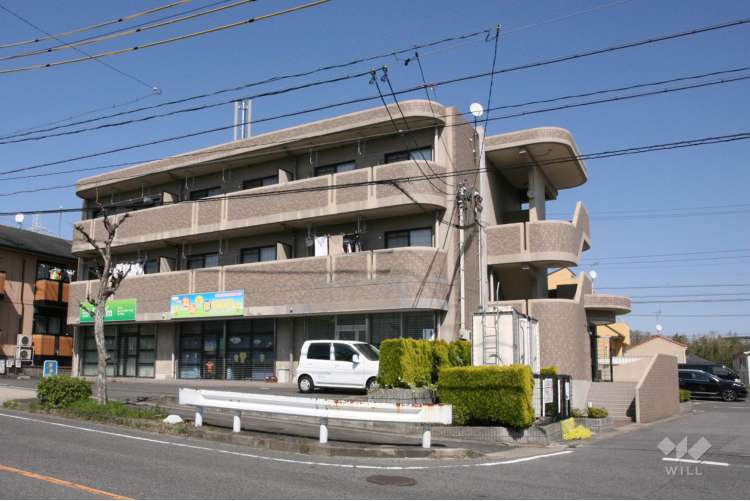 たんぽぽ保育園うめもりの写真