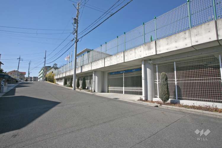 丘の上こども園の写真