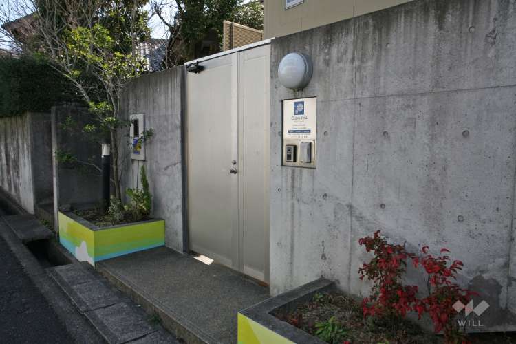 トライリンガルインターナショナルスクール&キンダー クレマティスの写真