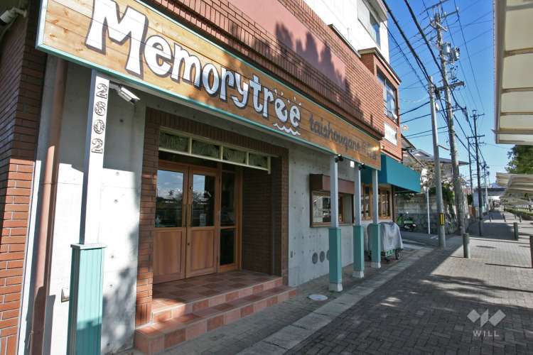 memorytree大将ヶ根保育園の写真