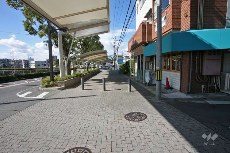 memorytree大将ヶ根保育園の写真