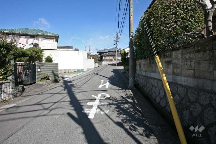 memorytree大将ヶ根保育園の写真