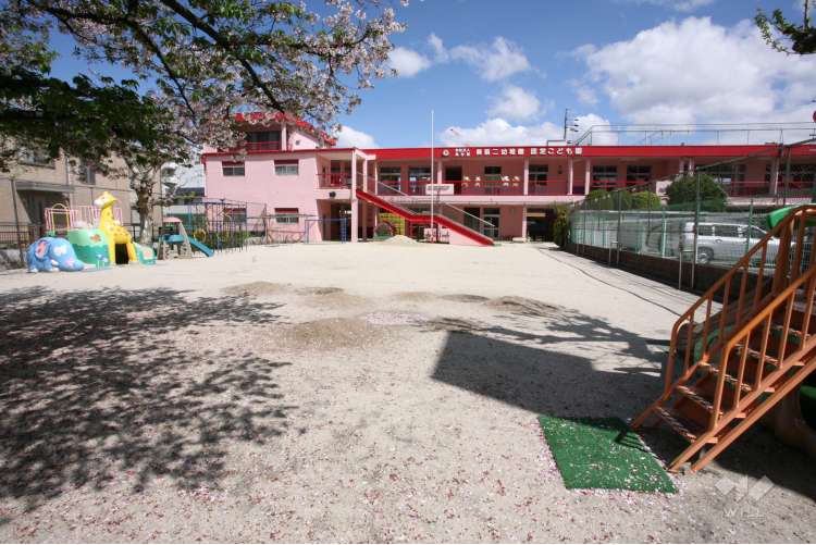 葵第二幼稚園の写真