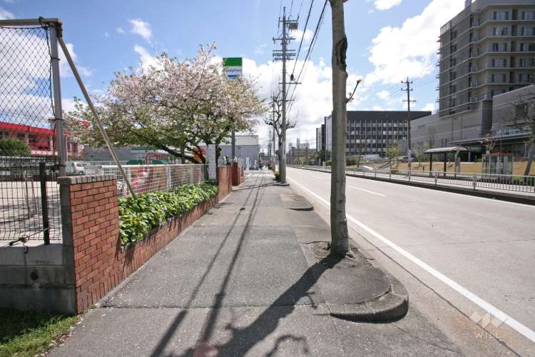 葵第二幼稚園の写真